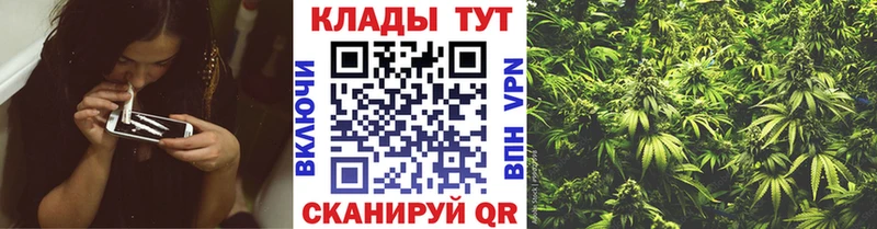 Купить наркотик аптеки Пионерский Конопля Cocaine APVP Мефедрон ГАШ