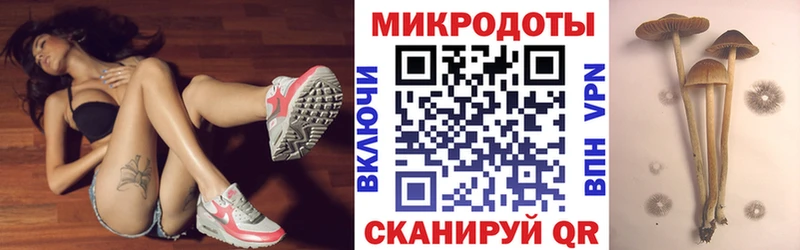 Псилоцибиновые грибы Psilocybe  дарнет шоп  Пионерский 